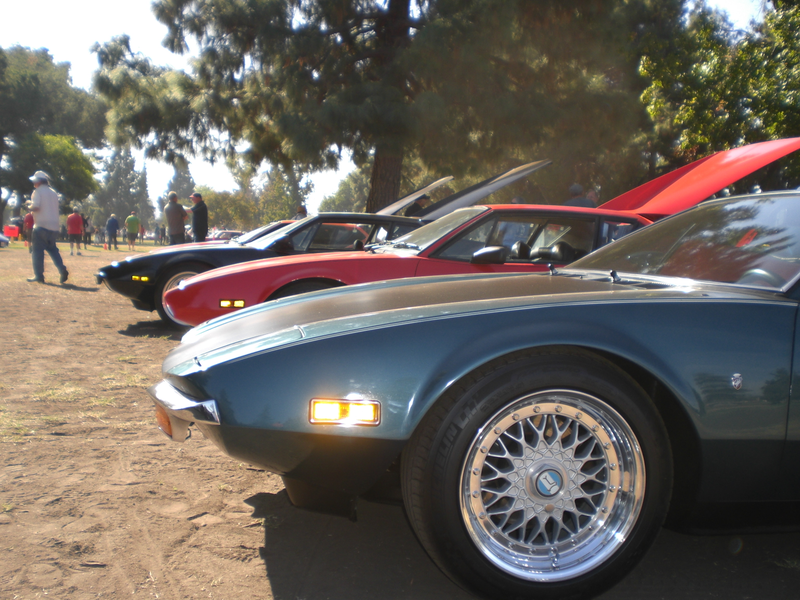 A pack of Panteras.